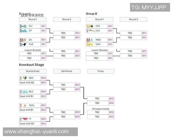 探讨英雄联盟BLG战队选手个人能力及其对比赛影响的深度分析 探讨英雄联盟BLG战队选手个人能力及其对比赛影响的深度分析